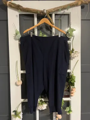 Navy Athletic Pants 3X